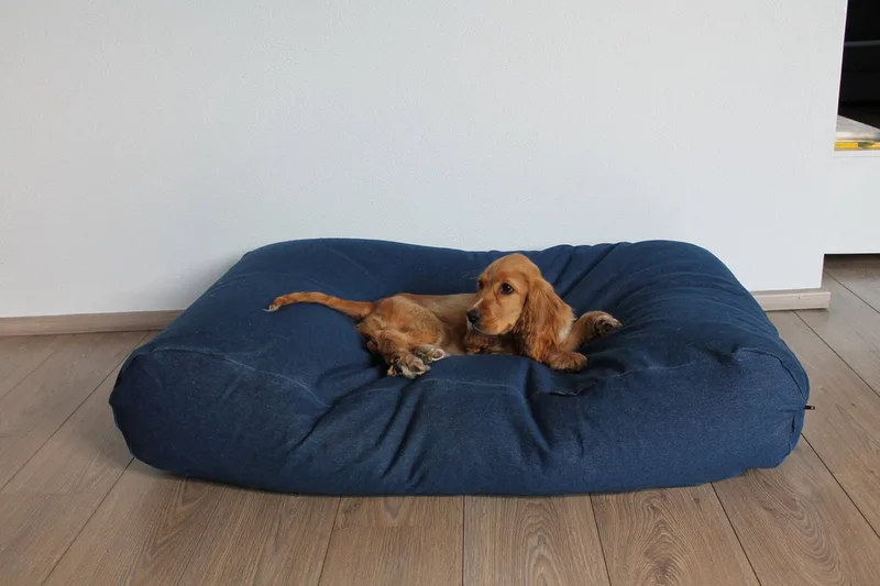 Hondenkussen / Hondenbed - XL - 140 x 95 cm - Jeans Katoen by Dog's Companion in Jeans Blauw – product photo