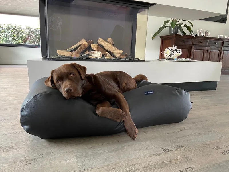 Hondenkussen / Hondenbed - XL - 140 x 95 cm - Kunstleer by Dog's Companion in Zwart Leather Look – product photo