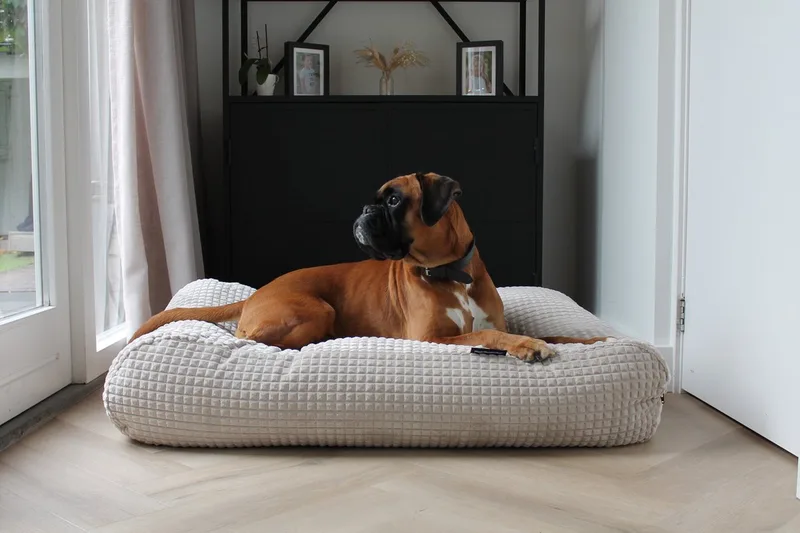 Hondenkussen / Hondenbed - XL - 140 x 95 cm von Dog's Companion in Little Square soft sand – Produktfoto
