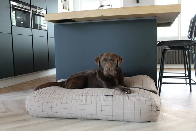 Hondenkussen / Hondenbed - XL - 140 x 95 cm de Dog's Companion en Manhattan camel – photo produit