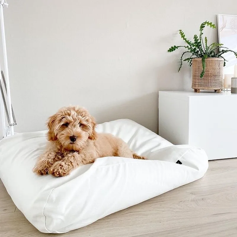 Hondenkussen / Hondenbed - XL - 140 x 95 cm von Dog's Companion in White Sand Canvas, Katoen – Produktfoto