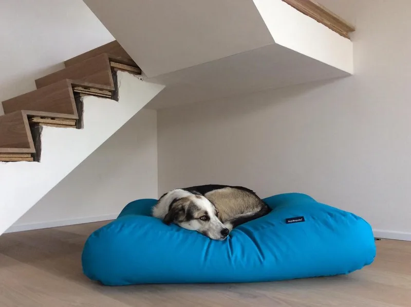 Hondenkussen / Hondenbed - XS - 55 x 45 cm de Dog's Companion en Aqua Blauw Canvas, Katoen – photo produit