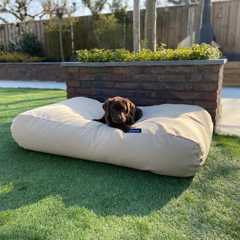 Hondenkussen / Hondenbed - XS - 55 x 45 cm von Dog's Companion in Beige Canvas, Katoen – Produktfoto