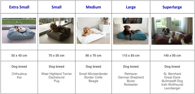 Hondenkussen / Hondenbed - XS - 55 x 45 cm - Copenhagen Full Grey by Dog's Companion in Copenhagen Full Grey Grijs – product photo