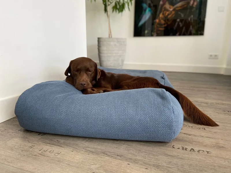 Hondenkussen / Hondenbed - XS - 55 x 45 cm - Copenhagen Mid Blue by Dog's Companion in Copenhagen Mid Blue Blauw – product photo