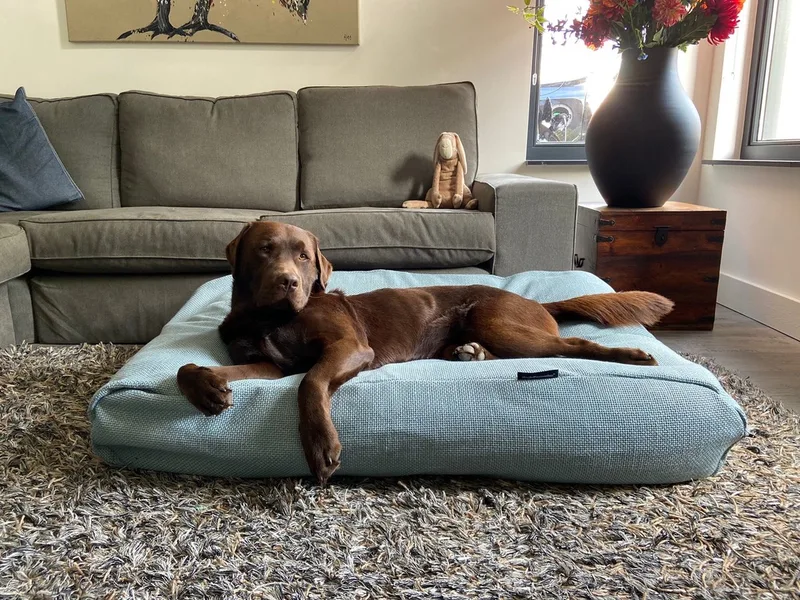 Hondenkussen / Hondenbed - XS - 55 x 45 cm - Copenhagen Ocean de Dog's Companion en Copenhagen Ocean Blauw – photo produit