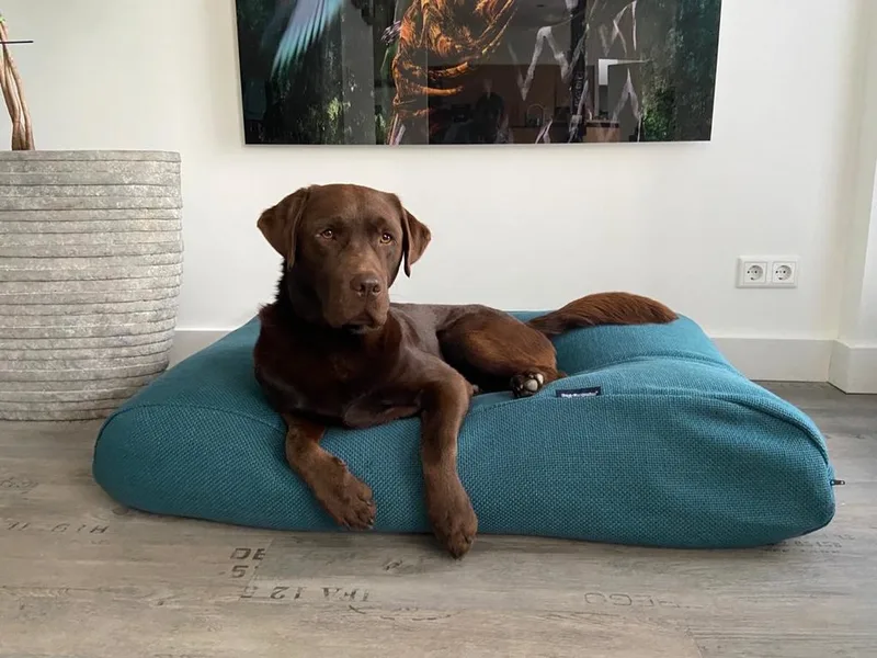 Hondenkussen / Hondenbed - XS - 55 x 45 cm - Copenhagen Petrol by Dog's Companion in Copenhagen Petrol Blauw – product photo