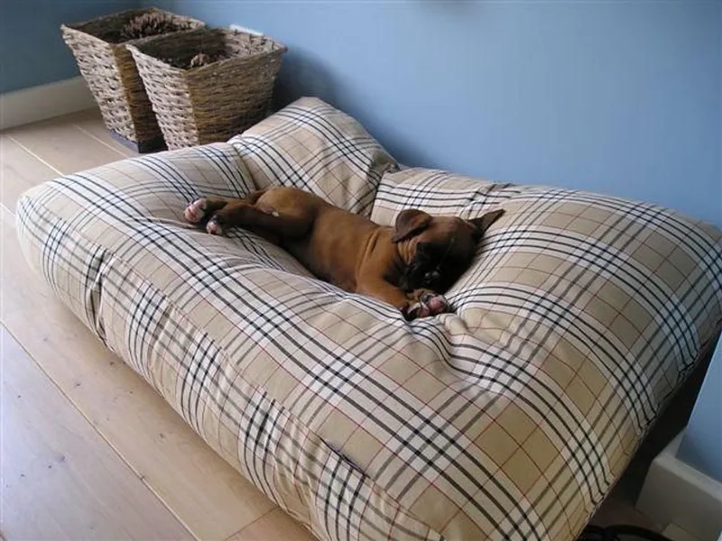 Hondenkussen / Hondenbed - XS - 55 x 45 cm von Dog's Companion in Country Field – Produktfoto