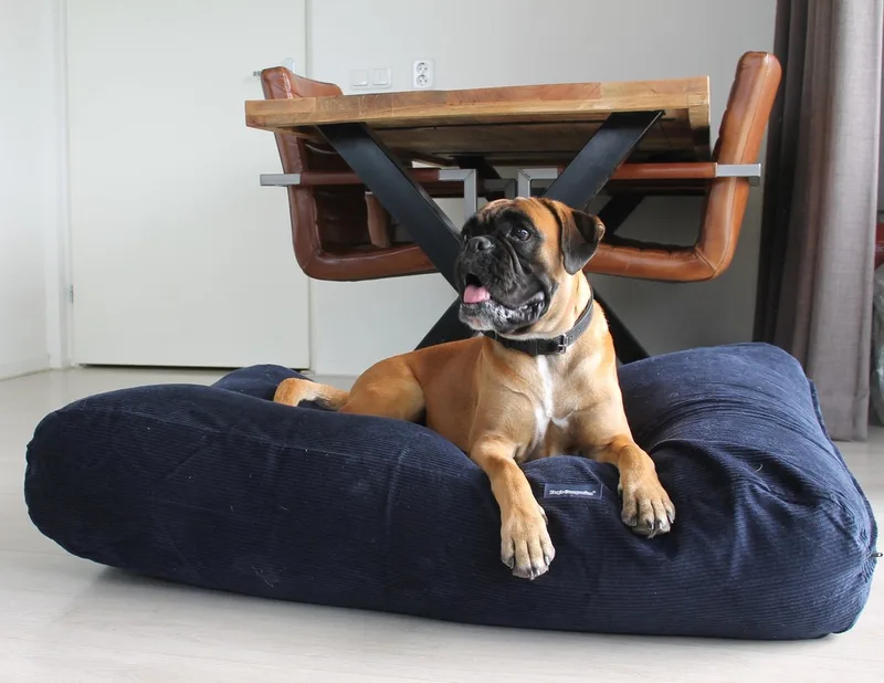 Hondenkussen / Hondenbed - XS - 55 x 45 cm by Dog's Companion in Donkerblauw Ribcord – product photo
