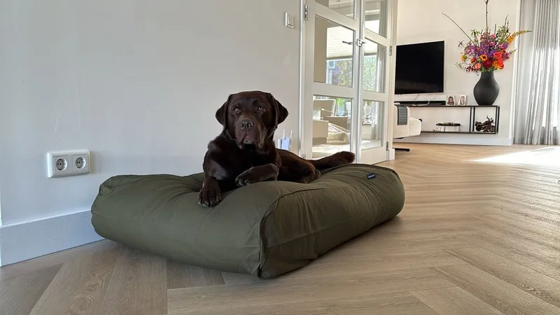 Hondenkussen / Hondenbed - XS - 55 x 45 cm - Hunting Canvas/Katoen de Dog's Companion en Hunting Groen Canvas, Katoen – photo produit