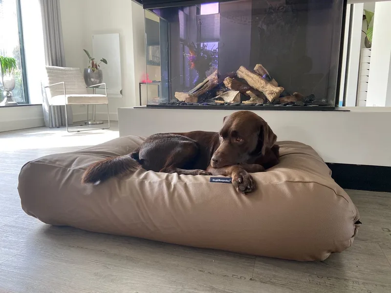 Hondenkussen / Hondenbed - XS - 55 x 45 cm - Kunstleer - Taupe Leather Look von Dog's Companion in Taupe Bruin Leather Look – Produktfoto
