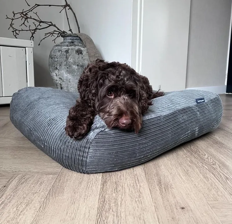Hondenkussen / Hondenbed - XS - 55 x 45 cm by Dog's Companion in Muisgrijs Double Ribcord – product photo