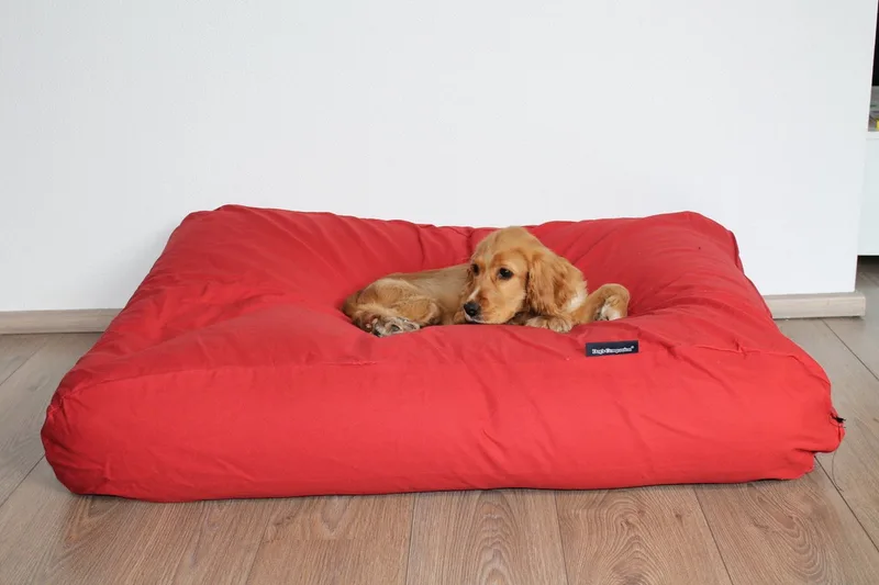 Hondenkussen / Hondenbed - XS - 55 x 45 cm de Dog's Companion en Steenrood Canvas, Katoen – photo produit