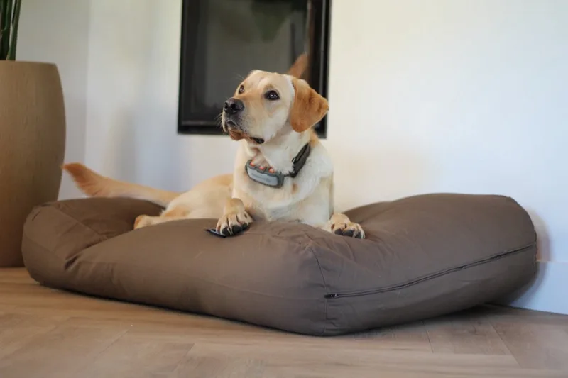 Hondenkussen / Hondenbed - XS - 55 x 45 cm - Taupe/Bruin Canvas/Katoen by Dog's Companion in Taupe Bruin Canvas, Katoen – product photo
