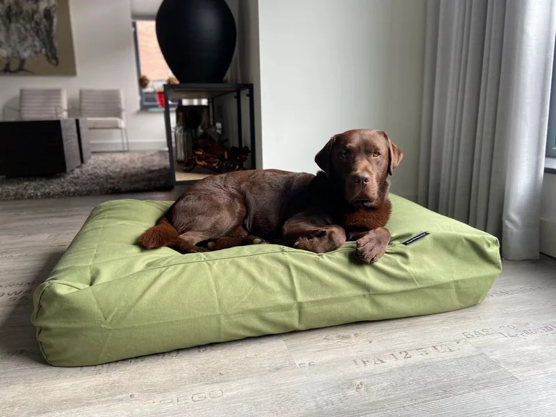 Hondenkussen / Hondenbed - XS - 55x45cm de Dog's Companion en Olive – photo produit