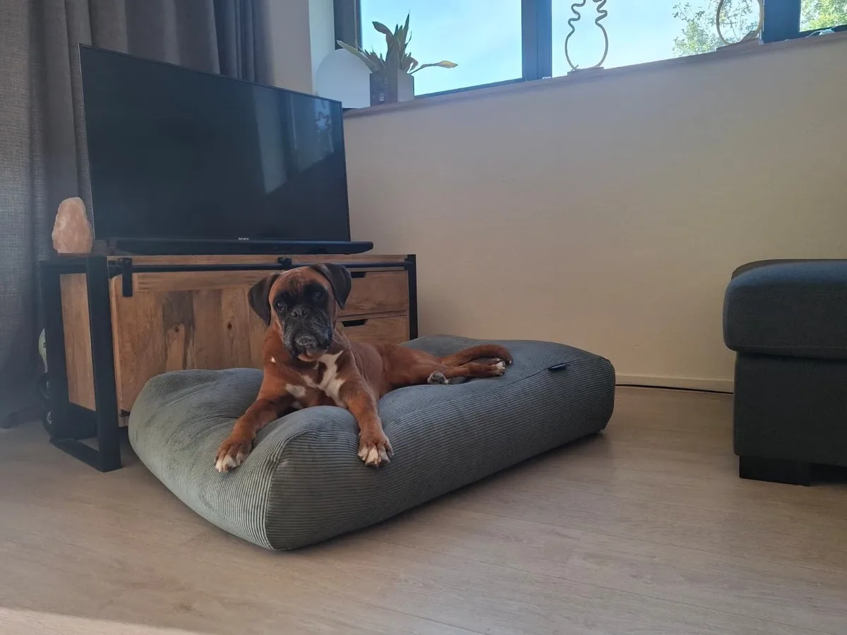 Hondenkussen Soft Ribcord Sage Green | Fijne ribstructuur, navulbare EPS vulling en wasbare hoes - XL - 140x95cm de Dog's Companion – photo produit