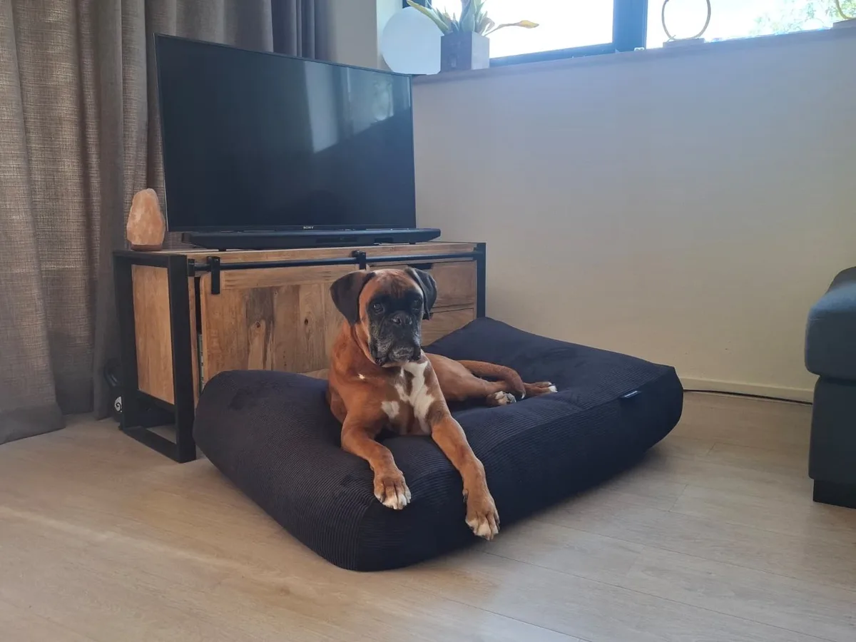 Hondenkussen Soft Ribcord Zwart | Fijne ribstructuur, navulbare EPS vulling en wasbare hoes - S - 70x50cm de Dog's Companion – photo produit