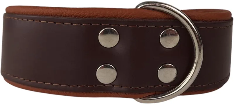 Leren halsband bruin / bruin - Leren halsband bruin / bruin von Dog's Companion in Braun – Produktfoto