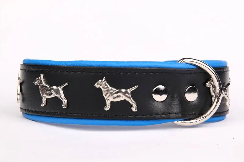 Leren Halsband - Bull Terriër - Lengte: 45 cm Verstelbaar van: 32-41 cm x 40 mm by Dog's Companion in Black, Blue – product photo