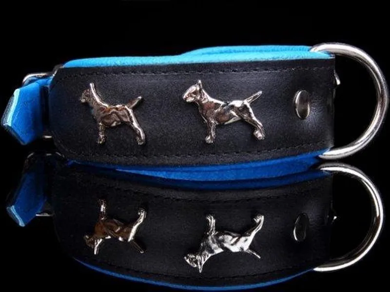 Leren Halsband - Bull Terriër - Lengte: 55 cm Verstelbaar van: 45-53 cm x 40 mm by Dog's Companion in Black, Blue – product photo
