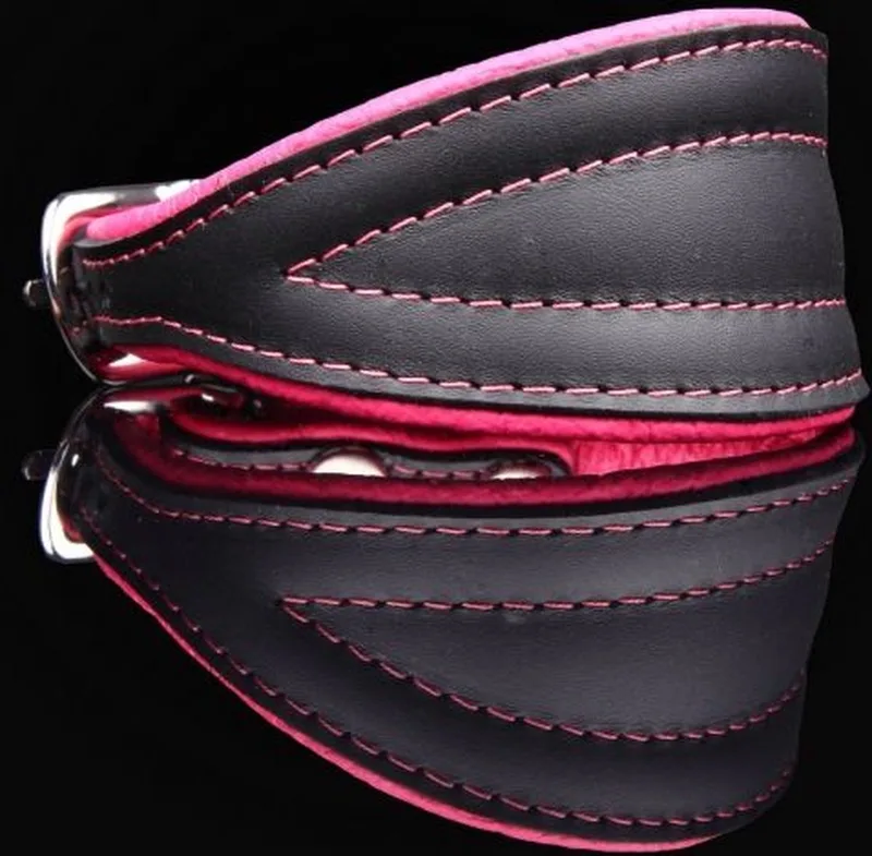 Leren halsband greyhound - Lengte: 50cm (41-48cmx70 mm), Kleur de Dog's Companion en Rose – photo produit