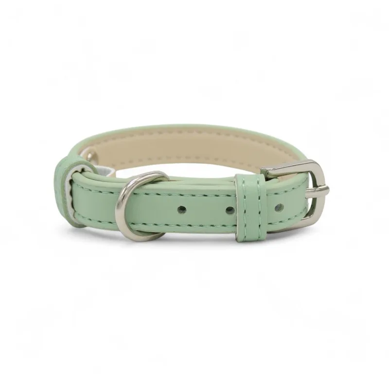 Leren Halsband Hond - PU leren hondenhalsband - Lengte: 33 cm Verstelbaar van 19-26,5 cm x 15 mm van Dog's Companion in Groen – productfoto