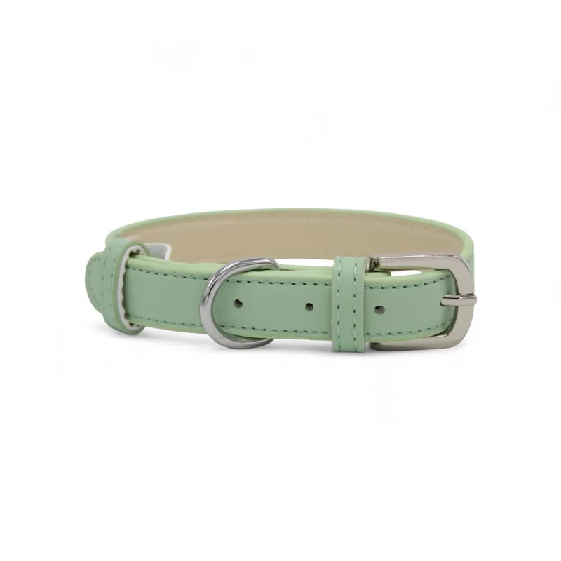 Leren Halsband Hond - PU leren hondenhalsband - Lengte: 43 cm Verstelbaar van 27-37 cm x 20 mm de Dog's Companion en Vert – photo produit