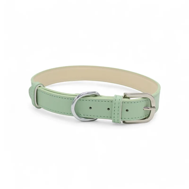 Leren Halsband Hond - PU leren hondenhalsband - Lengte: 63 cm Verstelbaar van 45-55 cm x 25 mm by Dog's Companion in Green – product photo