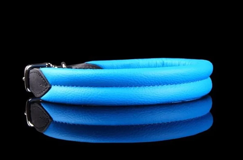 Leren Halsband - Lengte: 40 cm Verstelbaar van 32-37 cm x 25 mm de Dog's Companion en Bleu – photo produit