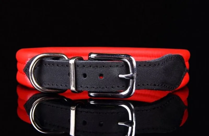 Leren Halsband - Lengte: 40 cm Verstelbaar van 32-37 cm x 25 mm fra Dog's Companion i Rød – produktbillede