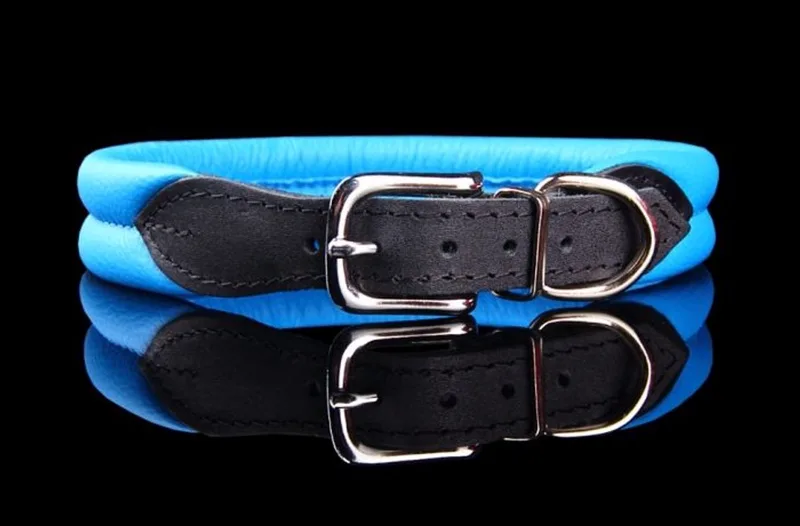Leren Halsband - Lengte: 55 cm Verstelbaar van 47-52 cm x 30 mm fra Dog's Companion i Blå – produktbillede