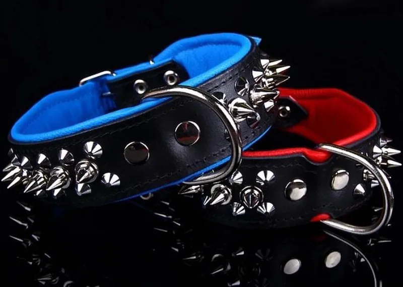 Leren Halsband - met Spikes - Lengte: 45cm Verstelbaar van: 32-41 cm x 40 mm von Dog's Companion in Schwarz, Blau – Produktfoto