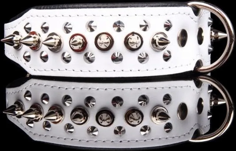 Leren Halsband - met Spikes - Lengte: 45cm Verstelbaar van: 32-41 cm x 40 mm de Dog's Companion en Blanc, Noir – photo produit
