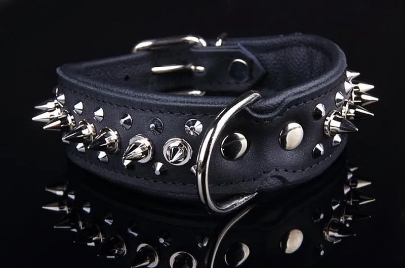 Leren Halsband - met Spikes - Lengte: 45cm Verstelbaar van: 32-41 cm x 40 mm de Dog's Companion en Noir – photo produit