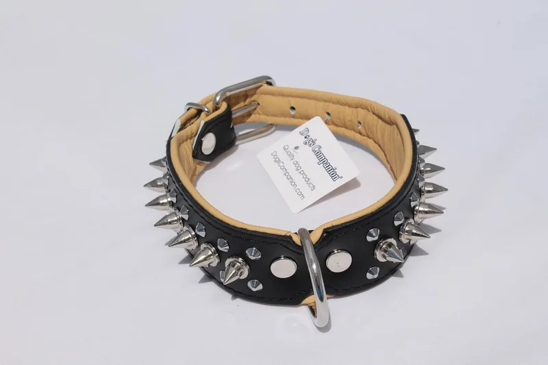 Leren Halsband - met Spikes - Lengte: 45cm Verstelbaar van: 32-41 cm x 40 mm von Dog's Companion in Schwarz, Natur – Produktfoto