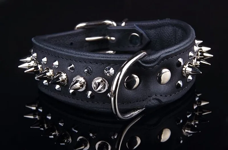 Leren Halsband - met Spikes - Lengte: 50cm Verstelbaar van: 40-47 cm x 40 mm van Dog's Companion in Zwart – productfoto