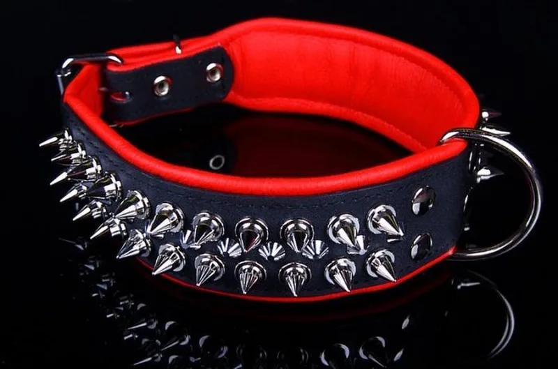 Leren Halsband - met Spikes - Lengte: 75cm Verstelbaar van: 60-73 cm x 50 mm von Dog's Companion in Schwarz, Rot – Produktfoto