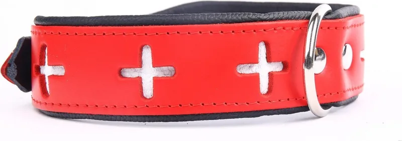 Leren Halsband - Swiss - Lengte: 45 cm Verstelbaar van 32-41 cm x 40 mm de Dog's Companion en Rouge – photo produit