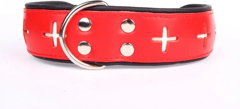 Leren Halsband - Swiss - Lengte: 65 cm Verstelbaar van 51-60 cm x 50 mm de Dog's Companion en Rouge – photo produit
