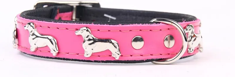 Leren Halsband - Teckel - Lengte: 35 cm Verstelbaar van 28-34 cm x 16 mm de Dog's Companion en Rose – photo produit
