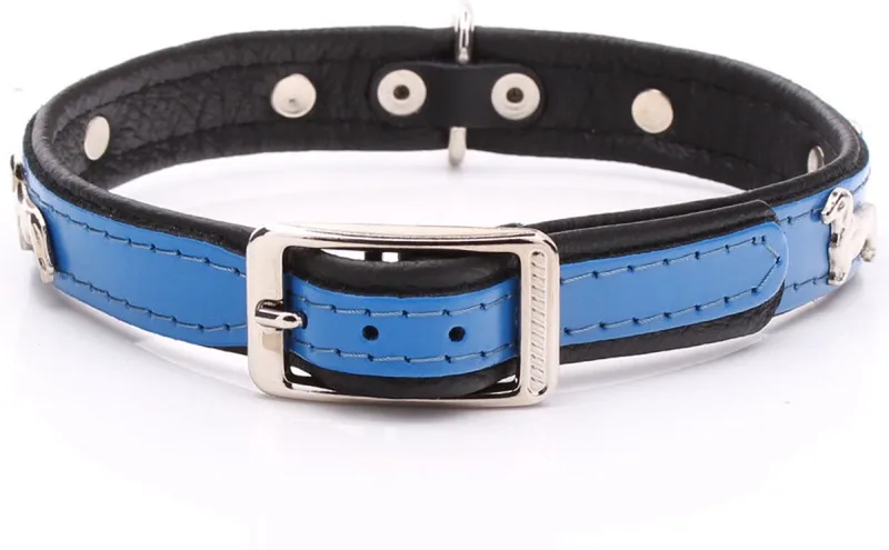 Leren Halsband - Teckel - Lengte: 35 cm Verstelbaar van 28-34 cm x 16 mm by Dog's Companion in Blue – product photo