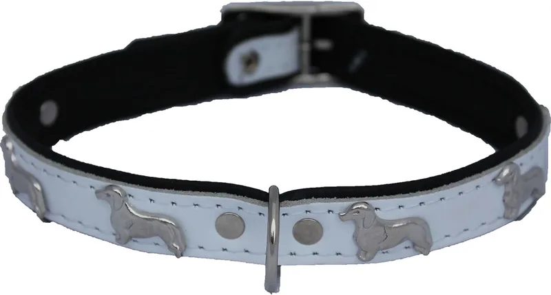 Leren Halsband - Teckel - Lengte: 45 cm Verstelbaar van 35-41 cm x 20 mm fra Dog's Companion i Hvid – produktbillede