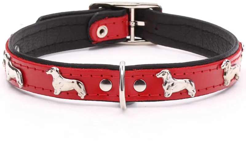 Leren Halsband - Teckel - Lengte: Lengte: 30 cm Verstelbaar van 26-31 cm x 16 mm - Rood / Zwart by Dog's Companion in Red, Black – product photo