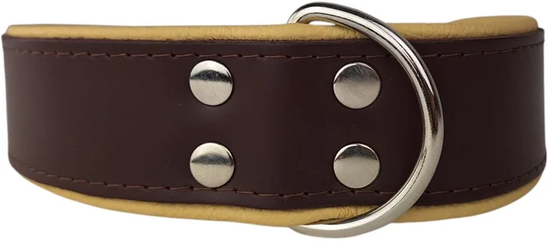 Leren hondenhalsband bruin / naturel - Leren hondenhalsband bruin / naturel de Dog's Companion – photo produit