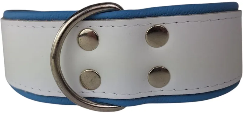Leren hondenhalsband wit / lichtblauw - Leren hondenhalsband wit / lichtblauw de Dog's Companion en Bleu clair – photo produit
