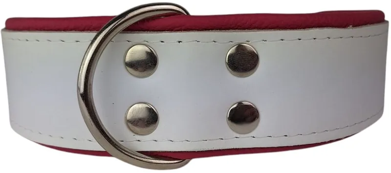 Leren hondenhalsband wit / roze - Leren hondenhalsband wit / roze von Dog's Companion – Produktfoto