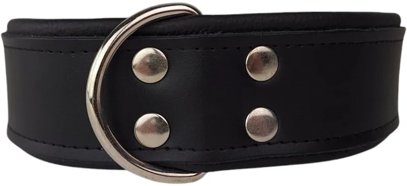 Leren hondenhalsband zwart - Leren hondenhalsband zwart by Dog's Companion in Black – product photo