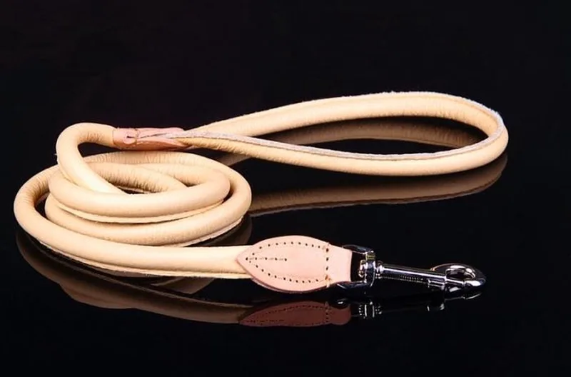 Leren Hondenriem - Lengte: 120 cm x 10 mm - Naturel de Dog's Companion en Naturel x 120 cm (Lengte) – photo produit