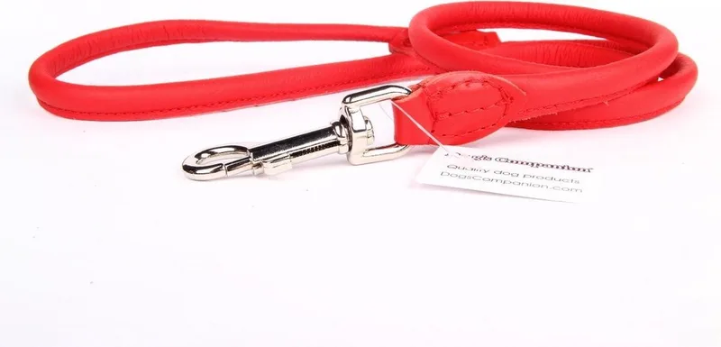 Leren Hondenriem - Lengte: 120 cm x 10 mm - Rood by Dog's Companion in Rood x 120 cm (Lengte) – product photo