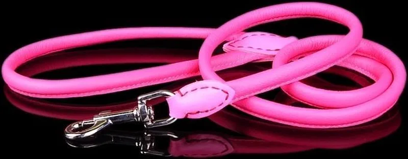Leren Hondenriem - Lengte: 120 cm x 10 mm - Roze by Dog's Companion in Roze x 120 cm (Lengte) – product photo